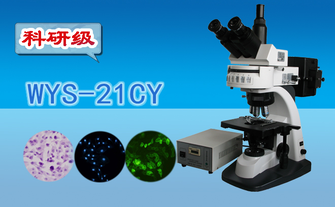 熒光顯微鏡技術(shù)包括哪幾種？